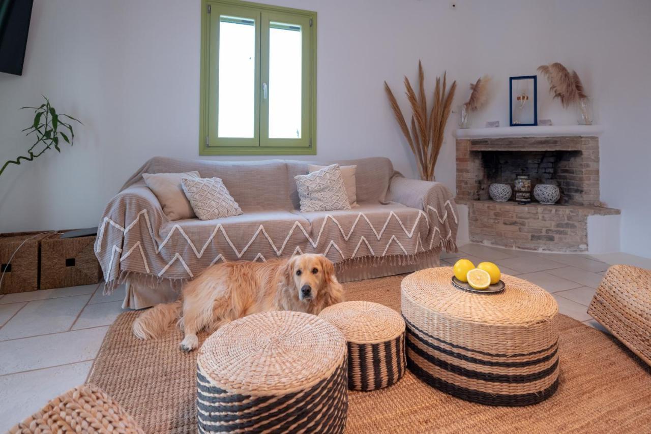 Ventu Paros Villa Márpissa 외부 사진