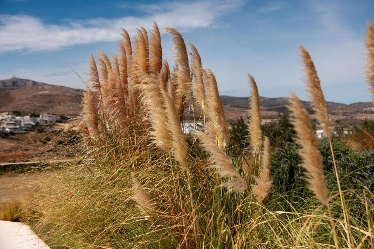 Ventu Paros Villa Márpissa 외부 사진